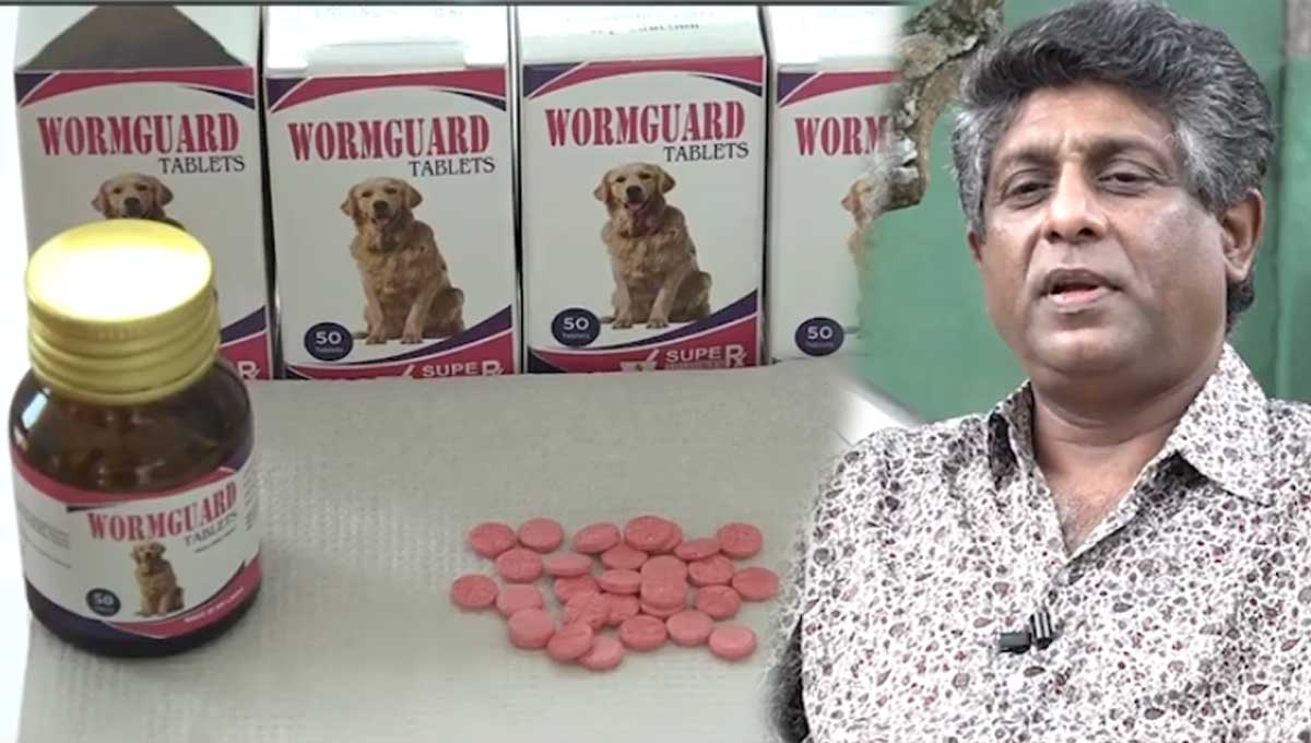 Corona can be treated with dog worm medicine Tests are successful- Professor Ashoka Dangolla