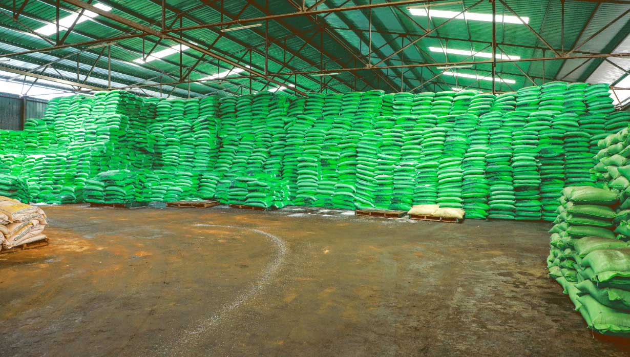 96% of the data provided by the Agrarian Services Department on the distribution of chemical fertilizers to farmers during the past period was incorrect