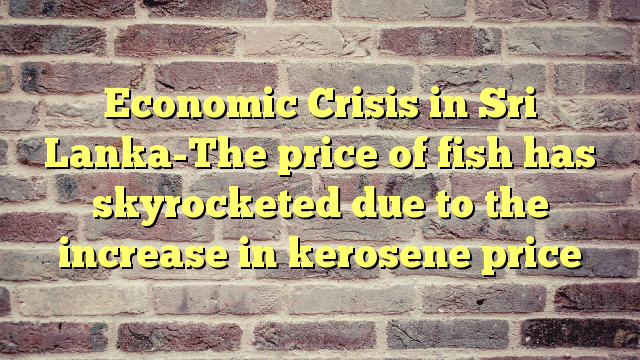 Economic Crisis in Sri Lanka-The price of fish has skyrocketed due to the increase in kerosene price