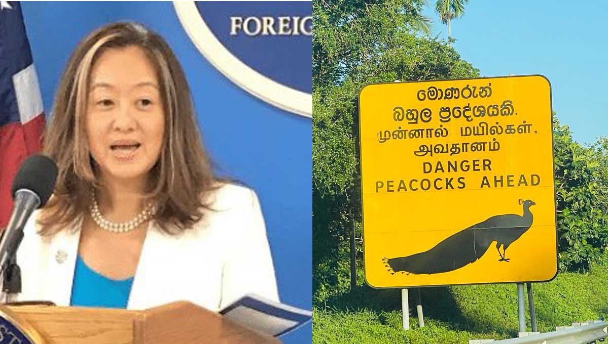 A ‘peacock’ sneer to Sri Lanka from the American ambassador