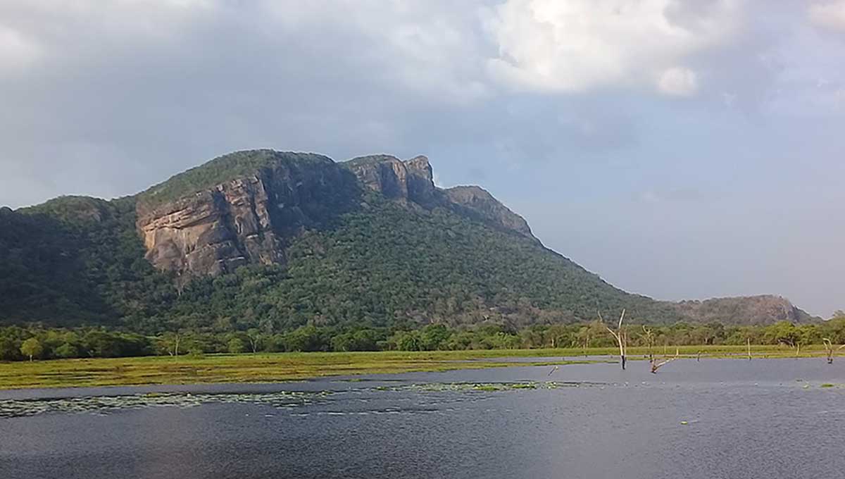 UFO arrived Sri Lanka-Aliens to Dimbulagala Sri Lanka.? streams of light