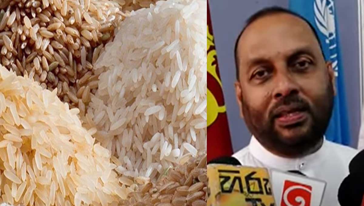 Economic crisis in Sri Lanka-The rice imported to Sri Lanka is not good for people to eat.. They are suitable for animal feed..- Minister of Agriculture