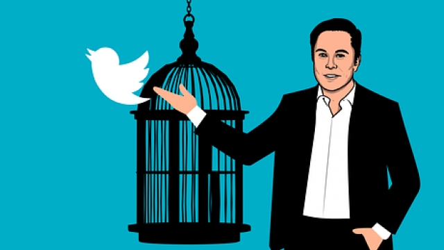 Elon Musk and the downfall of the Twitter!