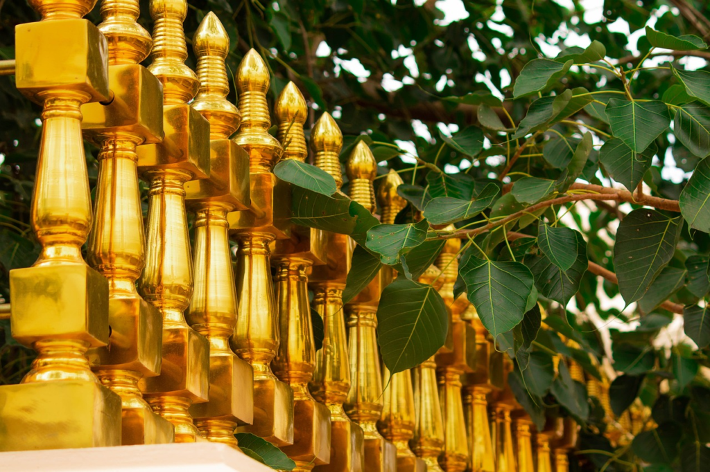 Sri Maha Bodhiya in Sri Lanka