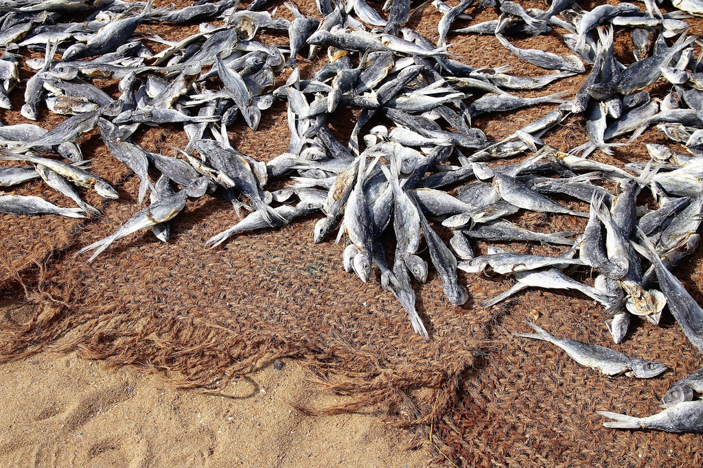 Karawala (Dried Fish Curry)